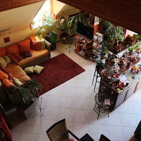 Arany Sziget Apartman 시오포크 외부 사진